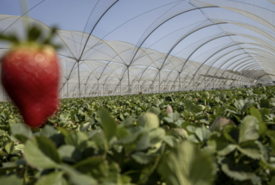 Private Equity Shifts from Cost-Cutting to Value Creation 